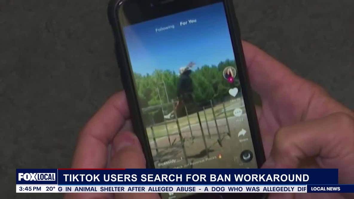 The latest on the TikTok ban (January 14th, 2025)